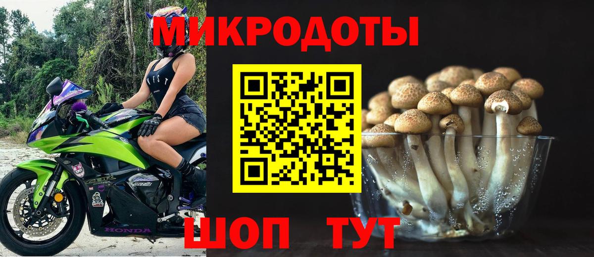 Псилоцибиновые грибы Psilocybe  Вход с VPN  Псилоцибиновые грибы мухоморы  Минусинск 