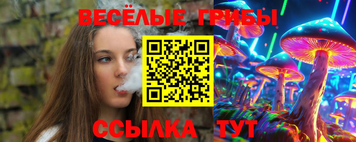 Псилоцибиновые грибы Psilocybine cubensis Минусинск
